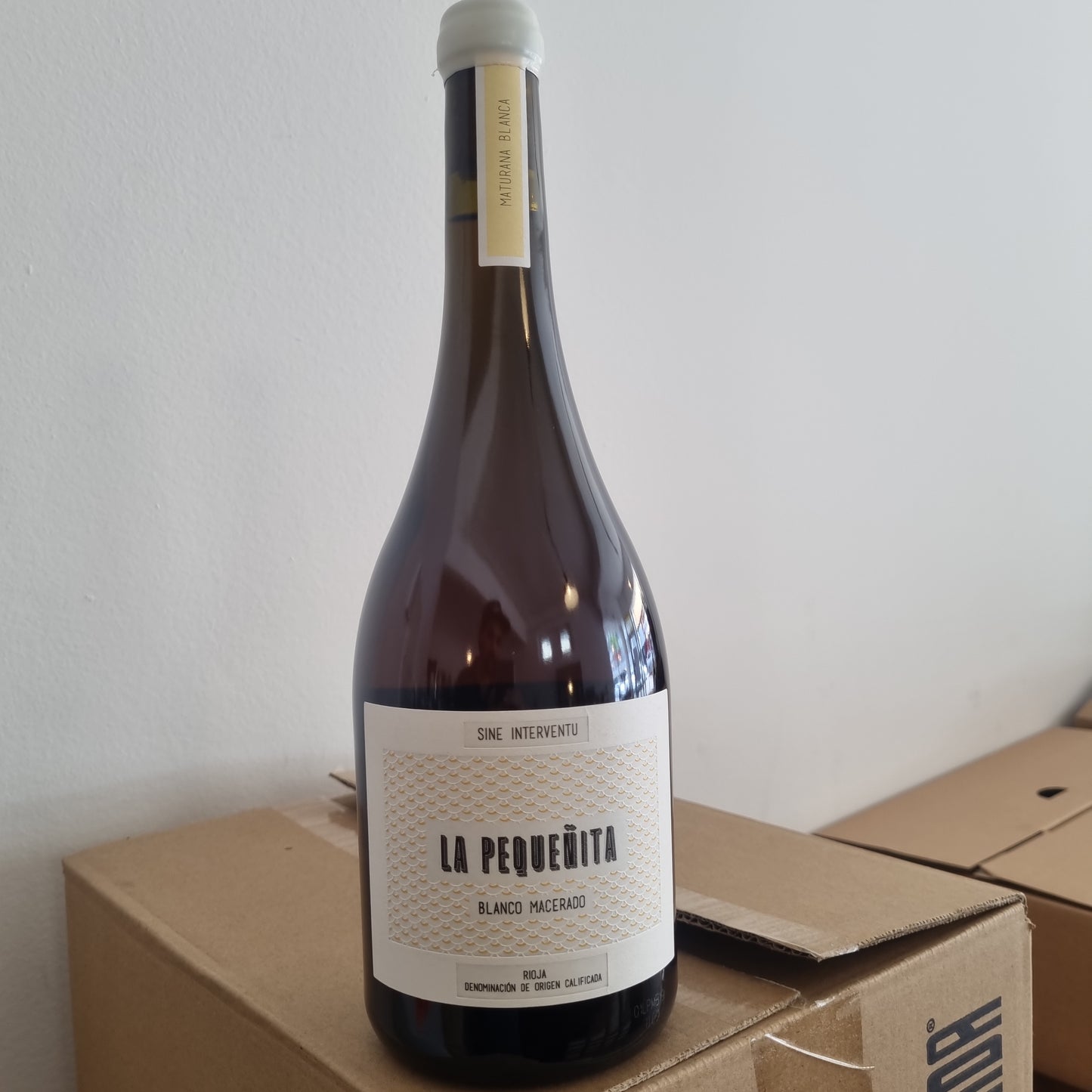 LA PEQUEÑITA | Maturana Blanca 2019 (Orange)