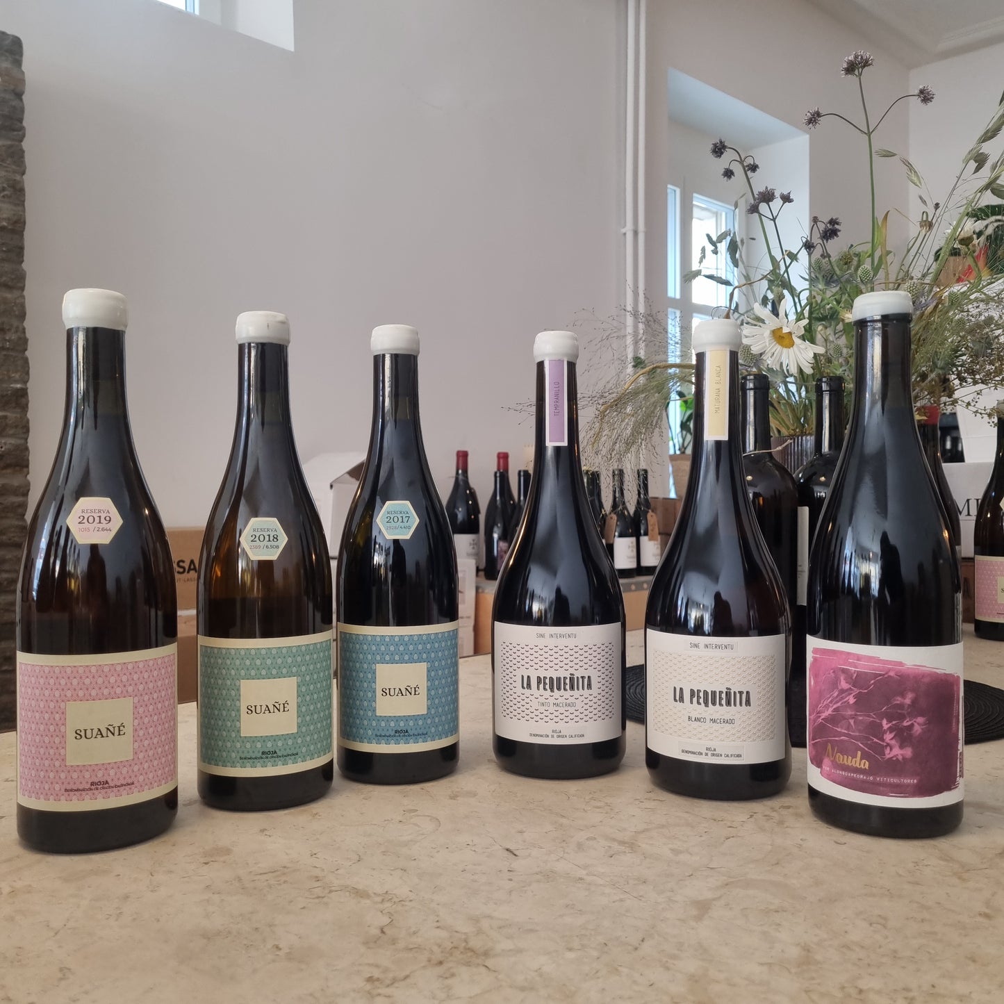 Alonso & Pedrajo Probierpaket | Low Intervention Qualitätsrevolution in der Rioja