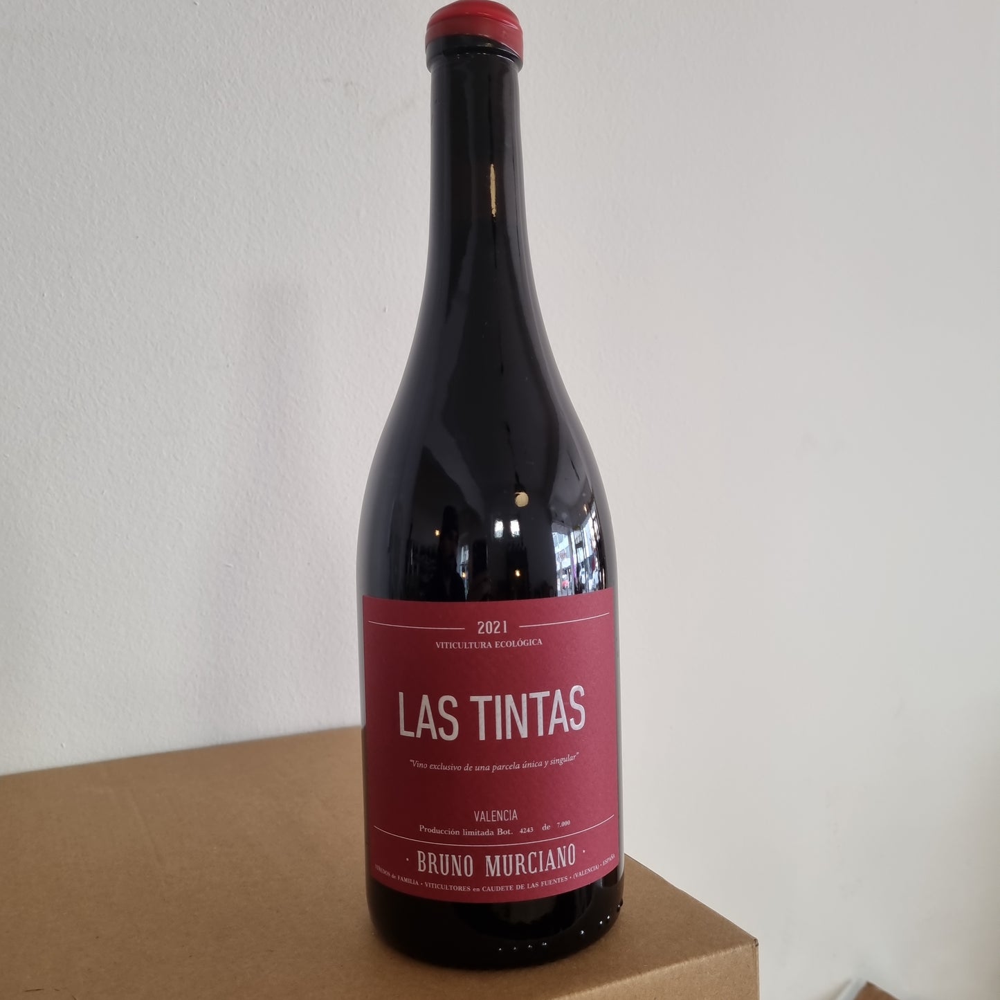 BRUNO MURCIANO | Las Tintas 2021