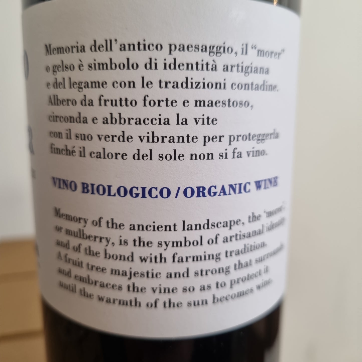 CASE PAOLIN | Campo dei Morer 2022