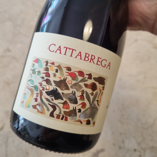 SOTTOILNOCE | Cattabrega