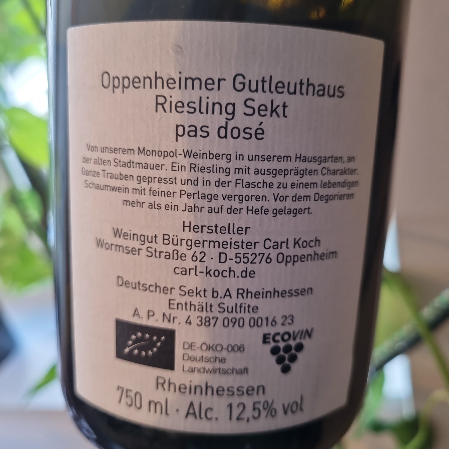 CARL KOCH | Monopol Riesling Sekt