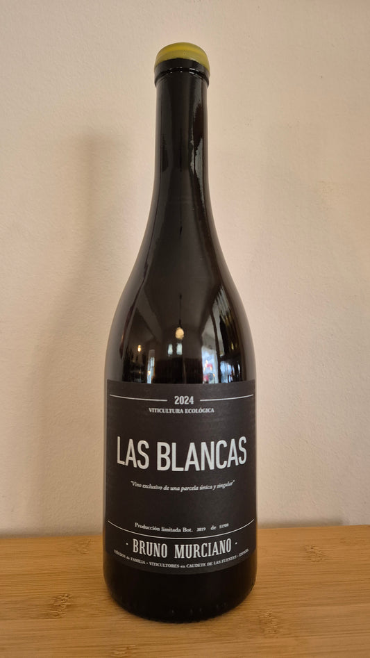 BRUNO MURCIANO | Las Blancas 2024