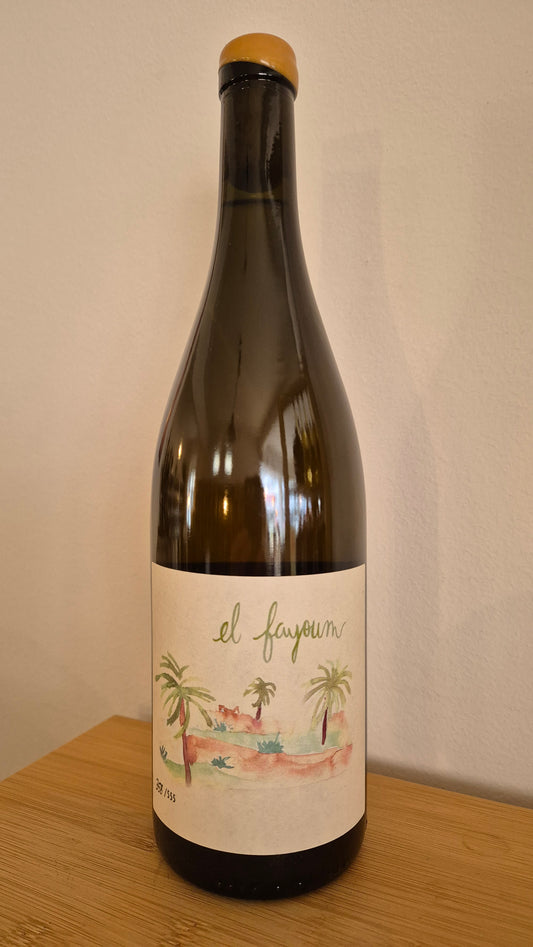 HAUS GUPI (Schneider) | El Fayoum 2021