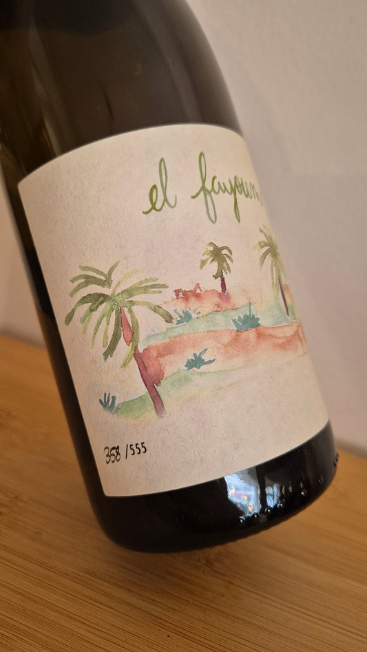 HAUS GUPI (Schneider) | El Fayoum 2021