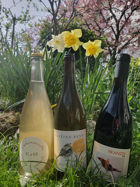 Unser Schönwettertrio zum Sonderpreis