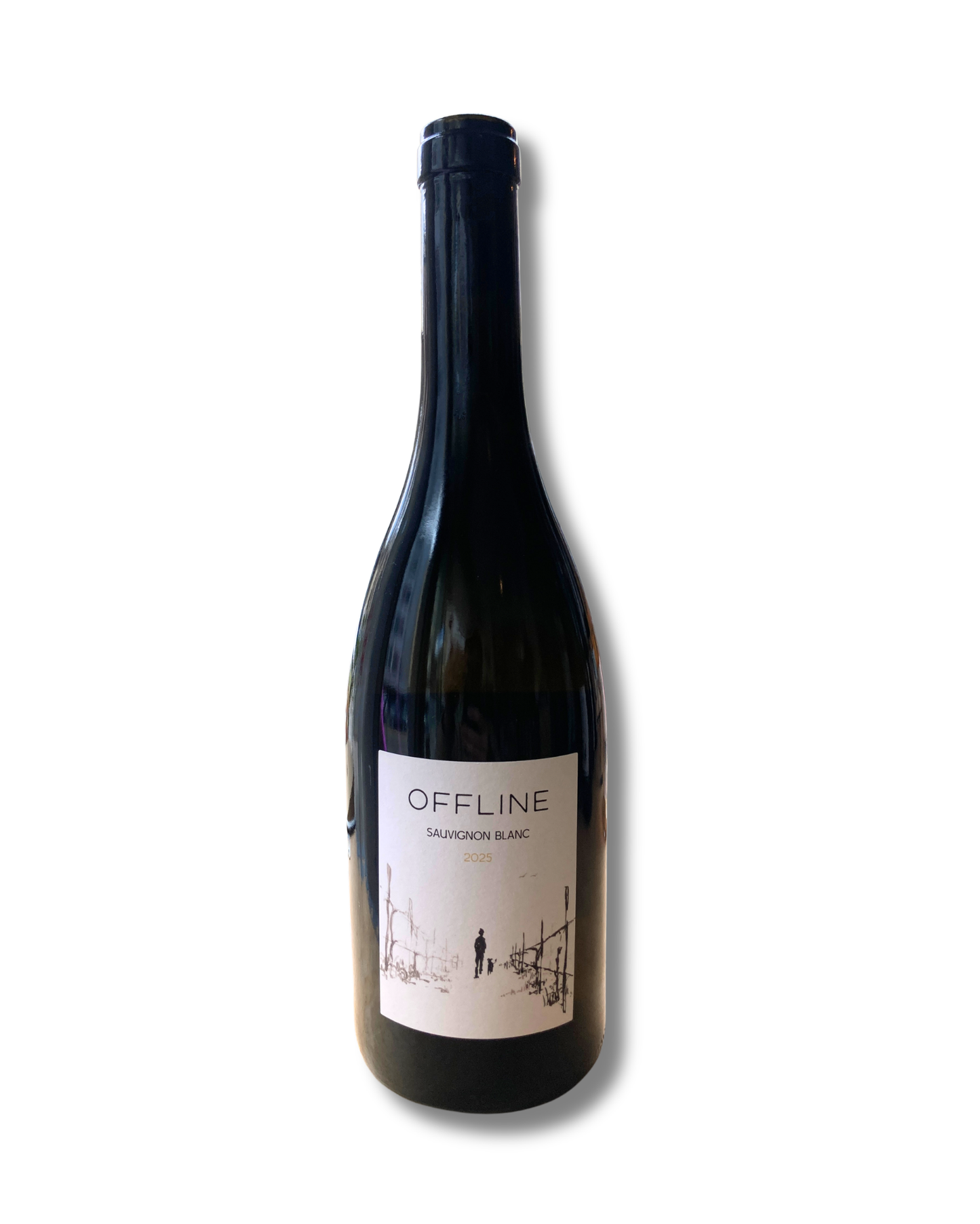 Offline Wine | Sauvignon Blanc 2025
