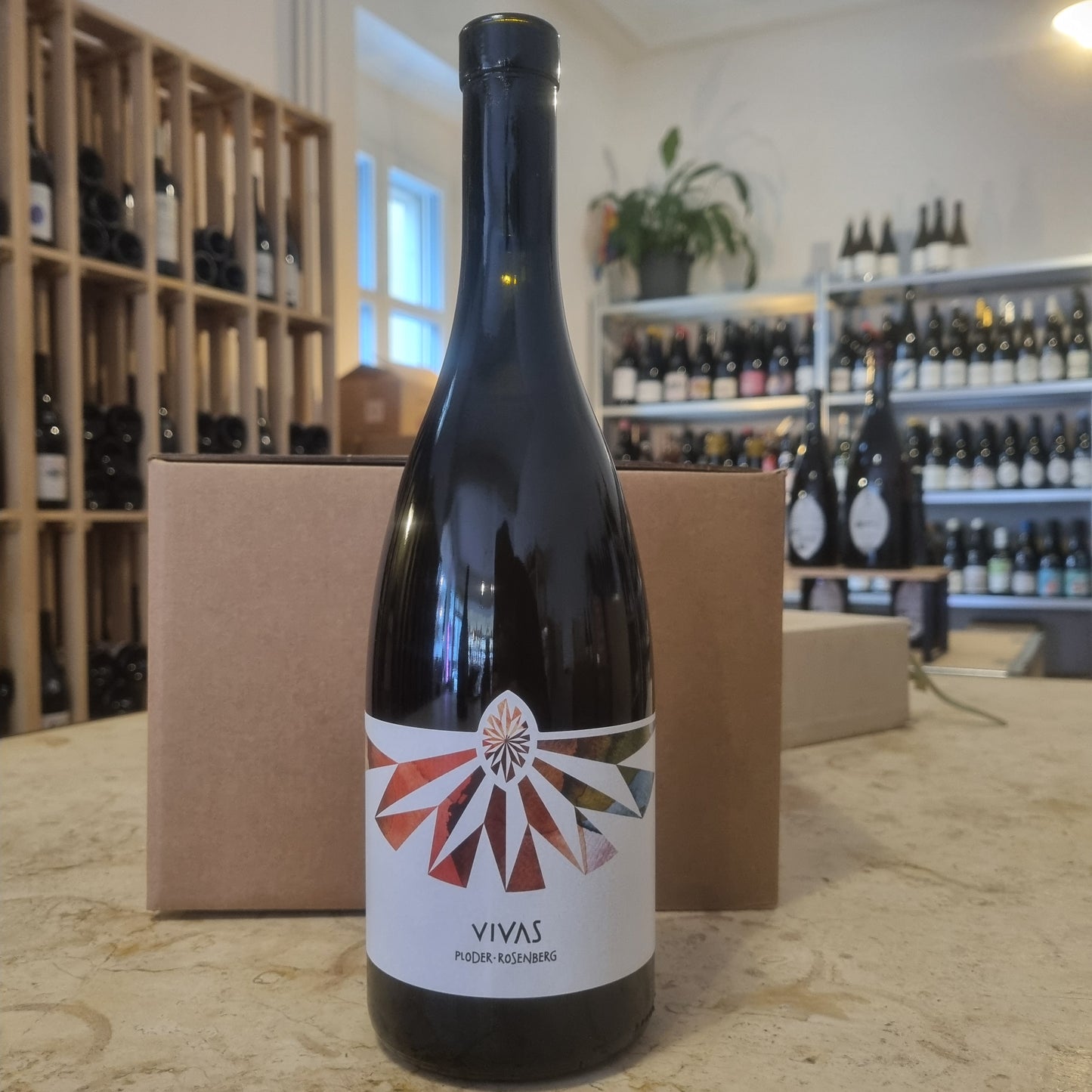 PLODER ROSENBERG | Vivas 2020