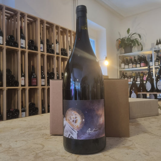 JUDITH BECK | Out! 2021 | Magnum