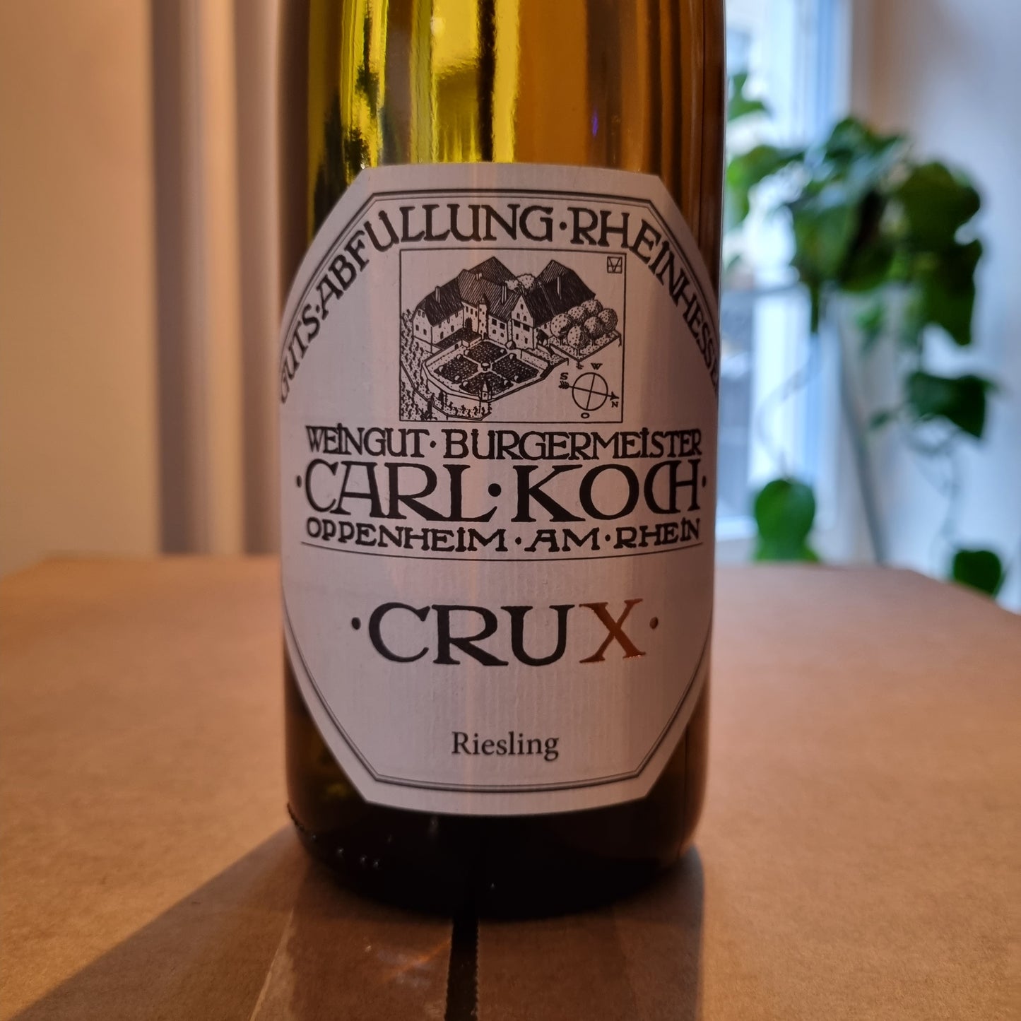 CARL KOCH | Crux Riesling 2021