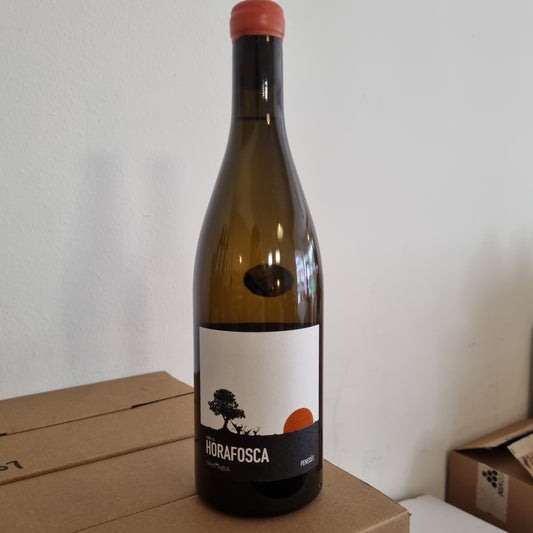 CAN DESCREGUT | Horafosca 2021