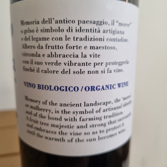 CASE PAOLIN | Campo dei Morer 2022