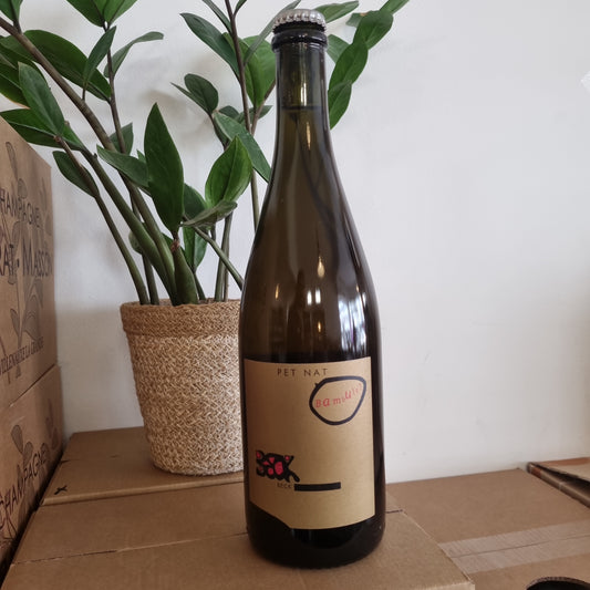 JUDITH BECK | Pét-Nat Bambule! 2022