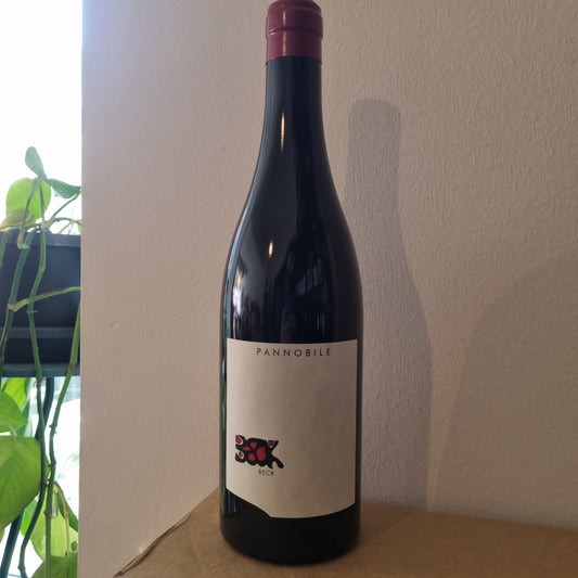 JUDITH BECK | Pannobile 2021