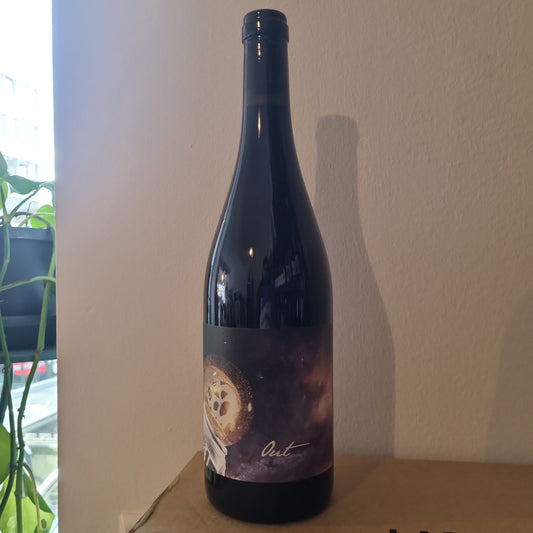 JUDITH BECK | Out! 2021