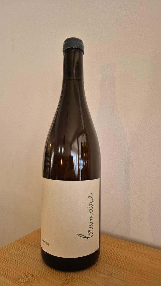 HAUS GUPI (Schneider) | Brumaire 2021