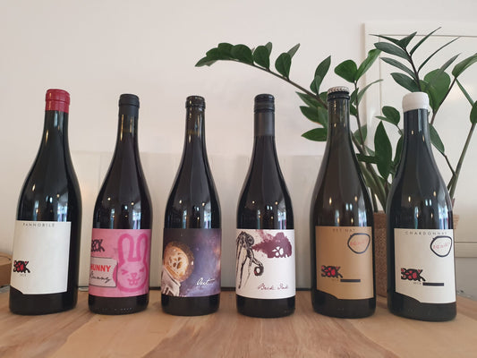 Welcome Back Paket | Judith Beck, Burgenland (AT)