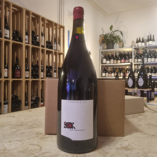 JUDITH BECK | Pannobile 2021 | Magnum