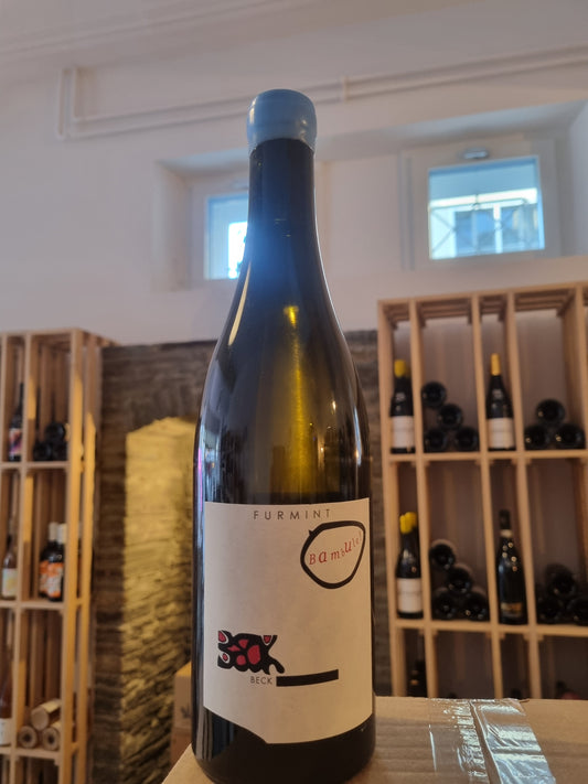 JUDITH BECK | Furmint Bambule! 2022