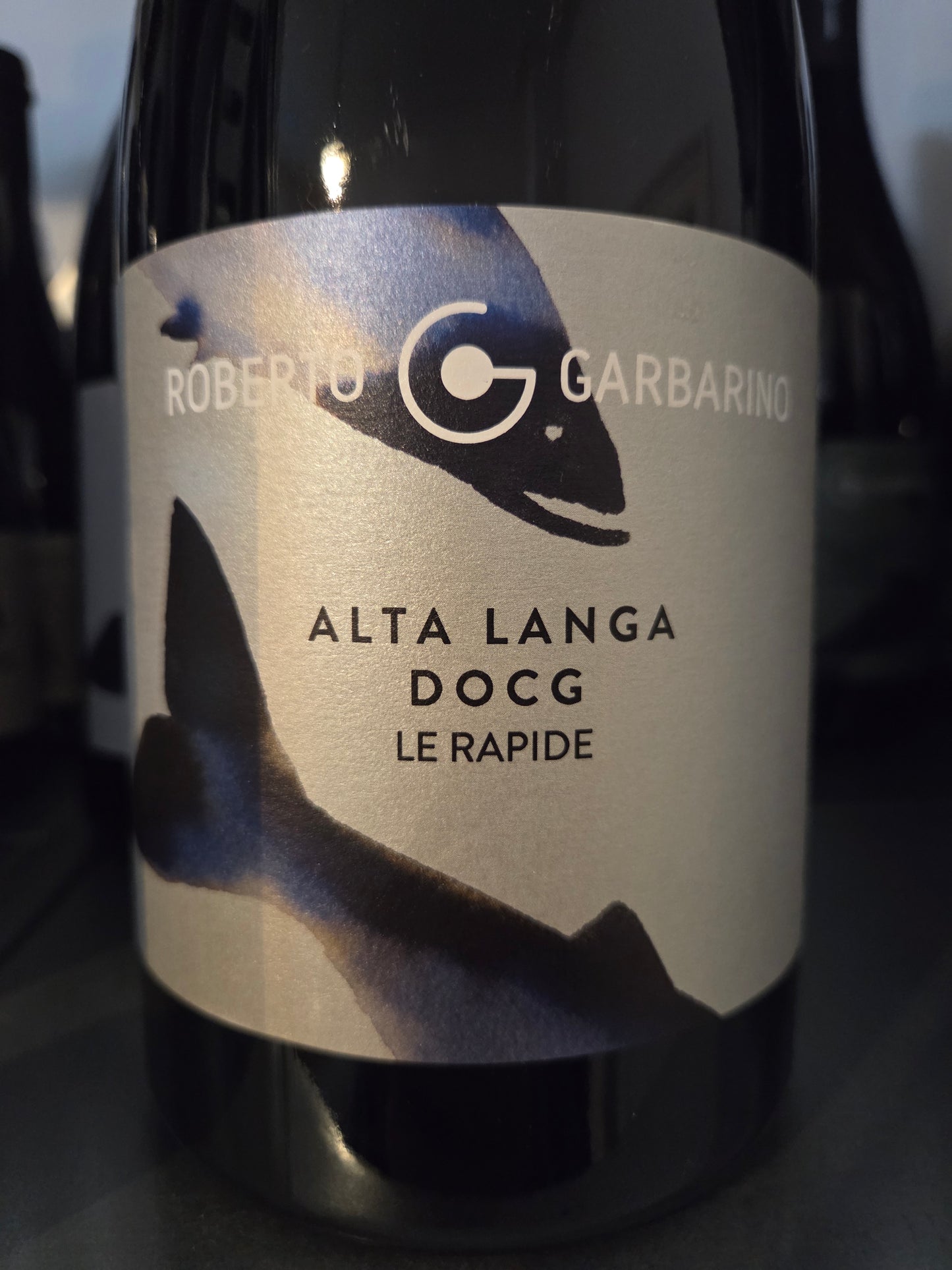 ROBERTO GARBARINO | Le Rapide 2021