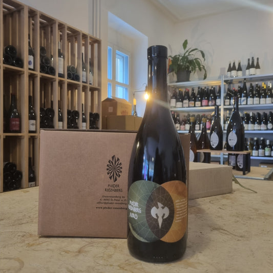 PLODER ROSENBERG | Aero 2017